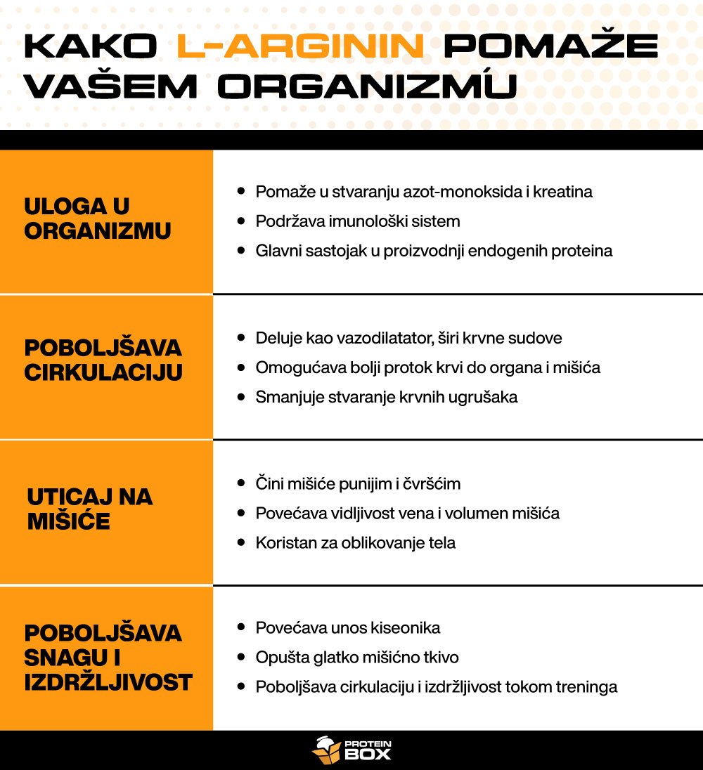 10 Kako L arigin pomaze vasem organizmu