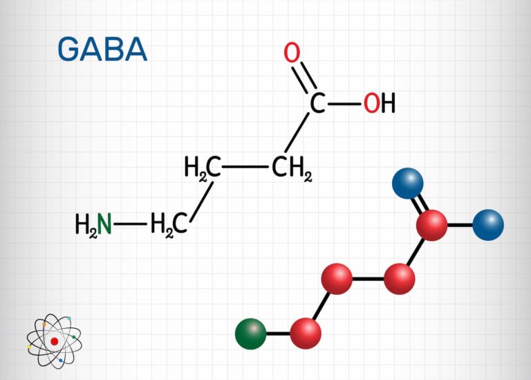 gaba molekul
